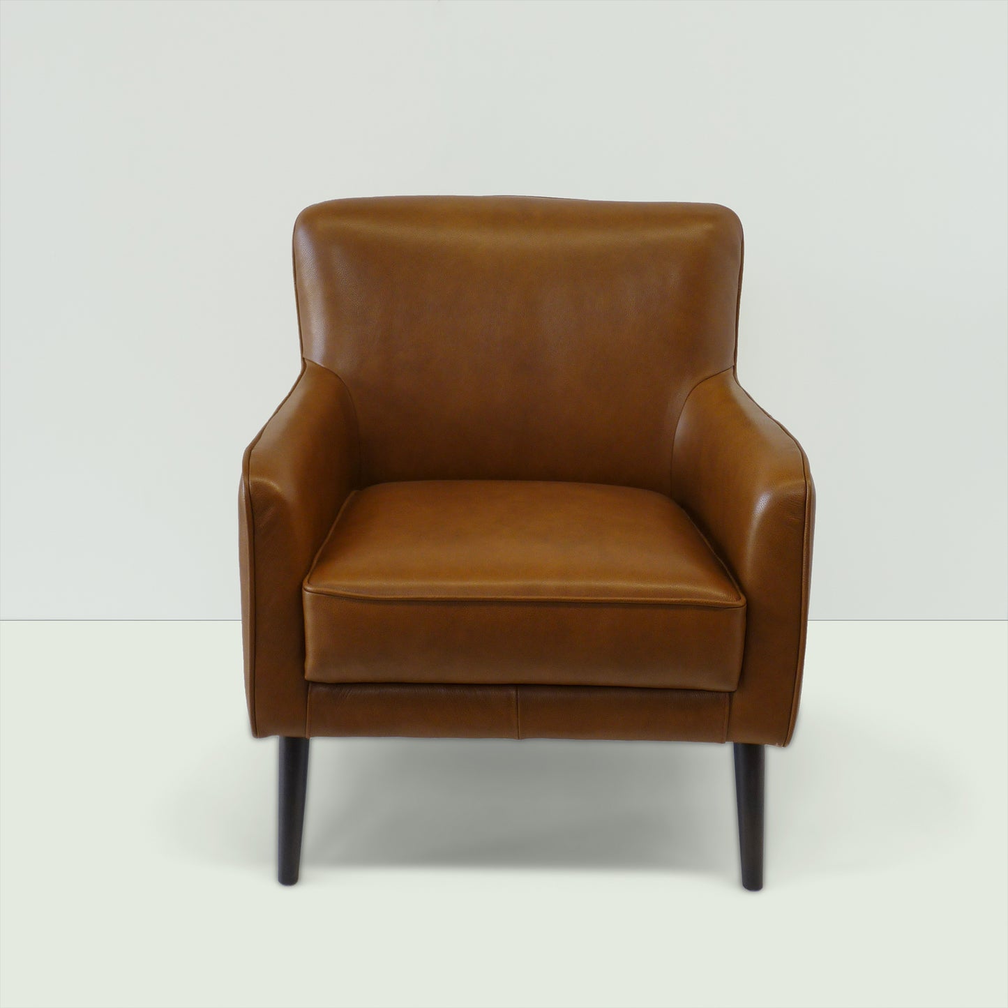 Modern Leather Armchair